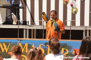 Espectáculo de aves exóticas de Paco Pluma en El Caracol (Foto Francisco Javier Santana)